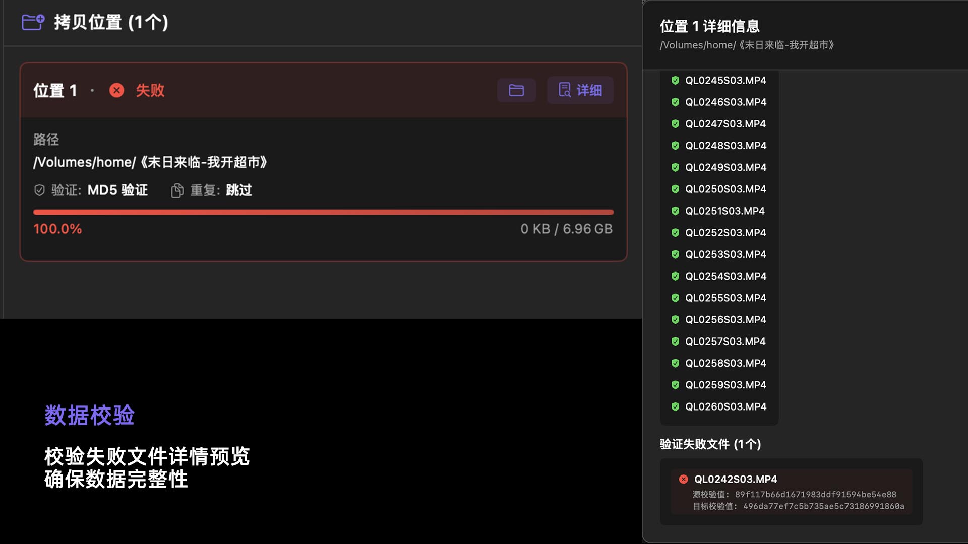 数据校验功能展示3